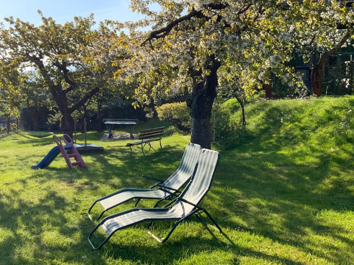 Pension Hoenel-Hof Bad Schandau Esterno foto