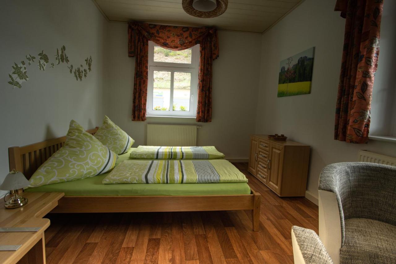 Pension Hoenel-Hof Bad Schandau Esterno foto