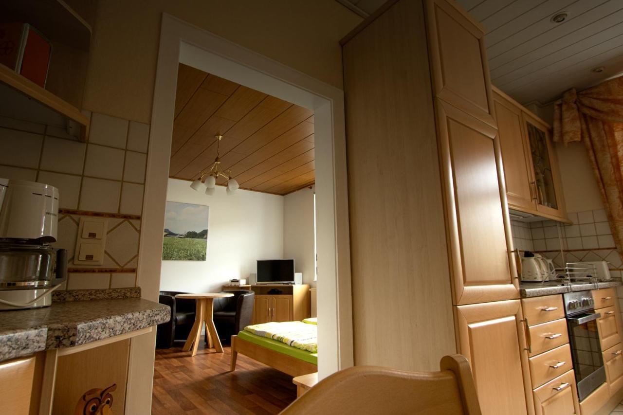 Pension Hoenel-Hof Bad Schandau Esterno foto